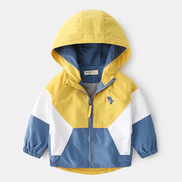 Hooded Windbreaker Jacket